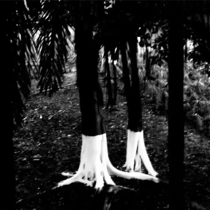Inspiration photo 4